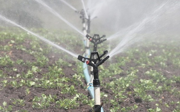 irrigation-system.jpg